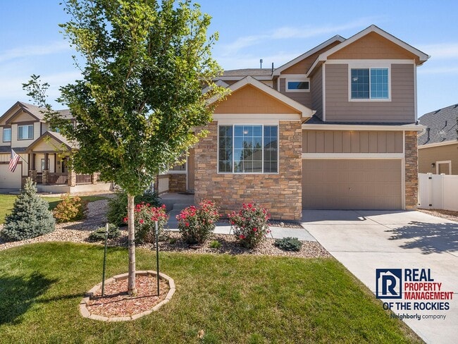Primary Photo - Amazing 4 Bed 3.5 Bath House in Severance!