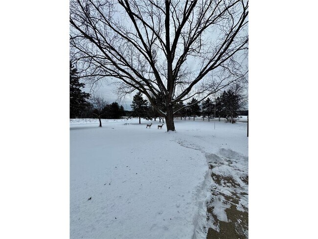 Building Photo - 3663 125th Ave NE