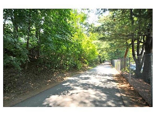 Minuteman Bike Trail - 34 Hamilton Rd