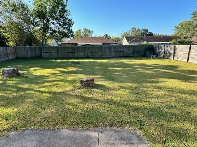 Large backyard with plenty of space for outdoor activities - 128 Dallas St