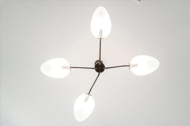 Building Photo - 3526 Angler Dr