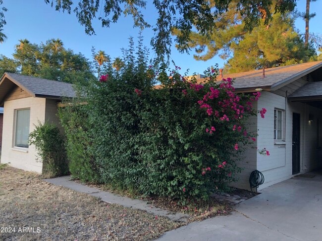 Building Photo - 1719 S El Camino Dr