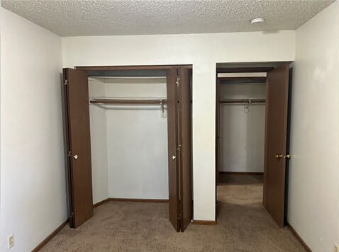 Building Photo - 418 S Van Buren St