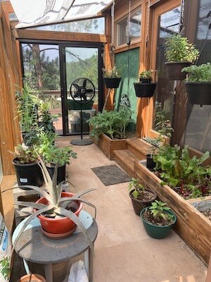 Greenhouse plant starts - 7652 Gartner Rd