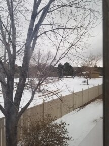 Park View - 6303 Colony Cir