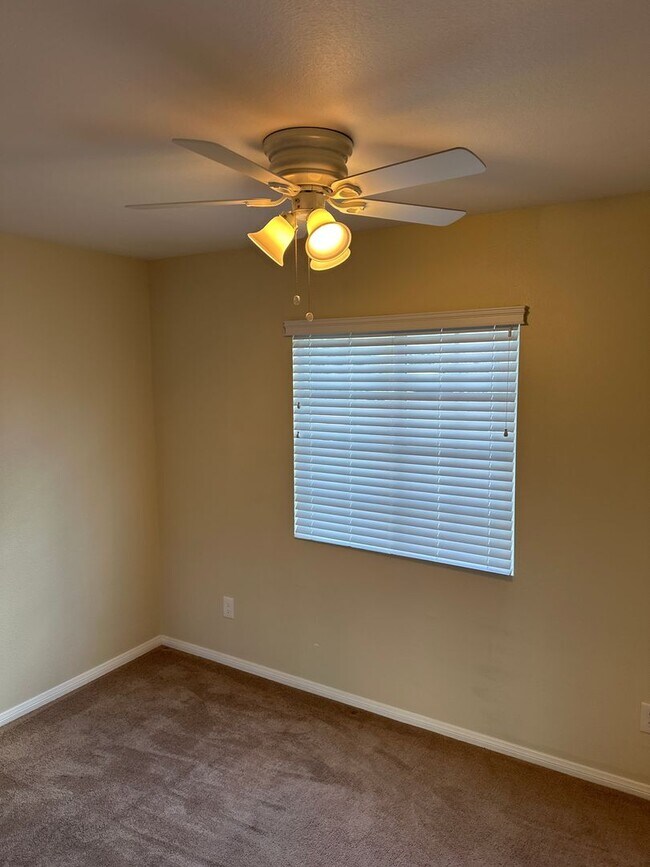 Building Photo - 7919 San Felipe St