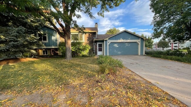 Building Photo - Great Home in Fort Collins