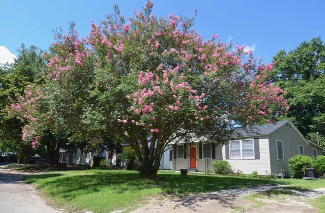 Building Photo - 4 Bedroom/1.5 Bath Home