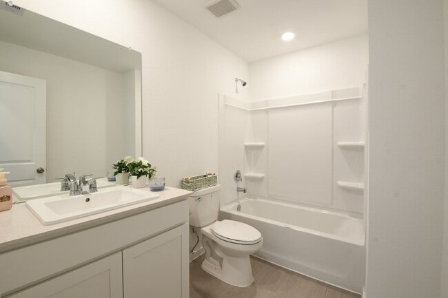 Building Photo - 2823 Cedar Rock St