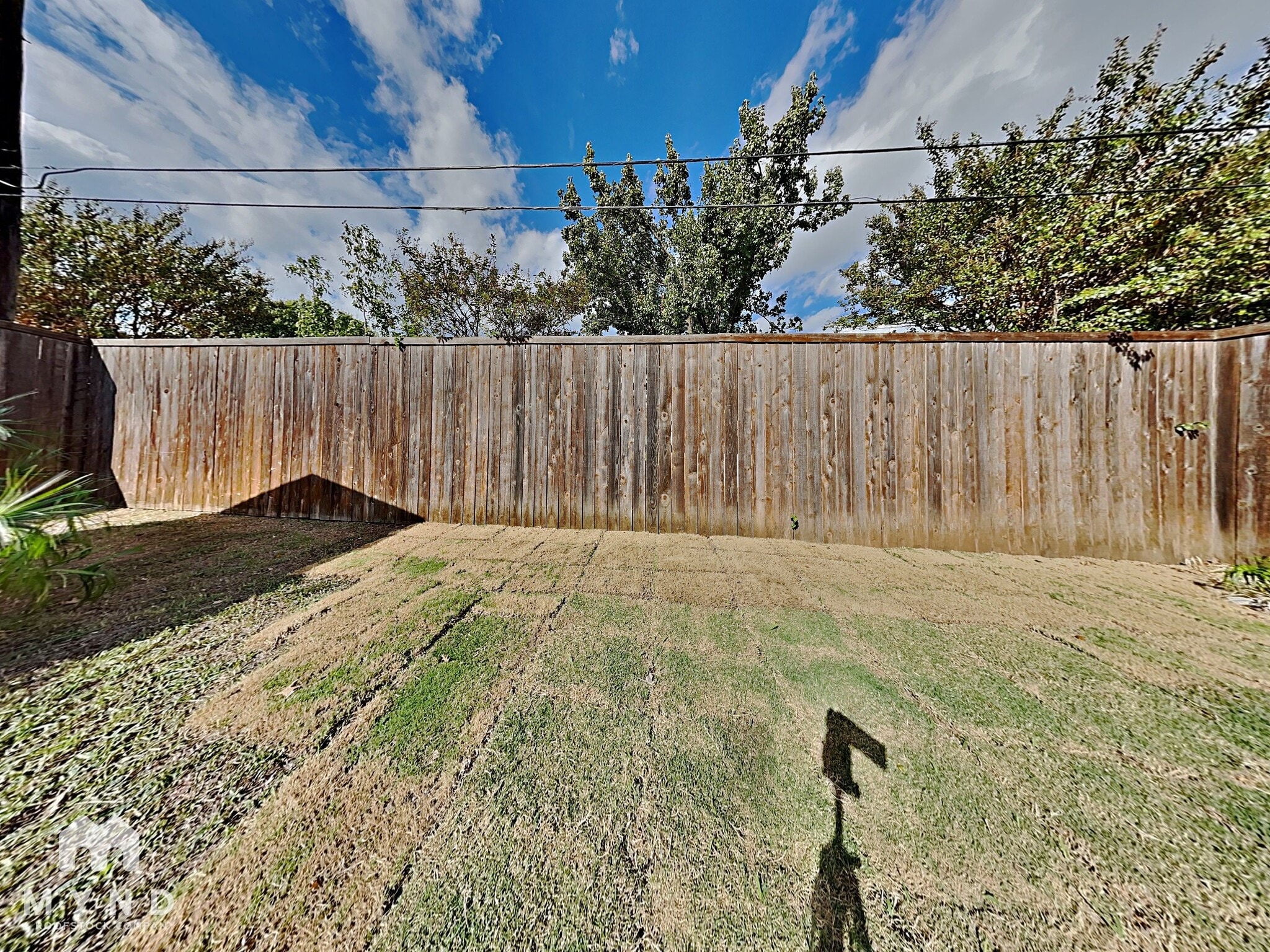 Building Photo - 951 Freshwood Ct