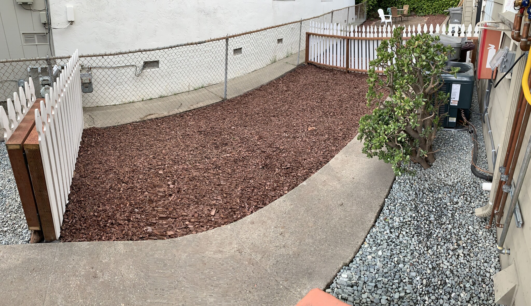 Backyard - 703 Buchanan St
