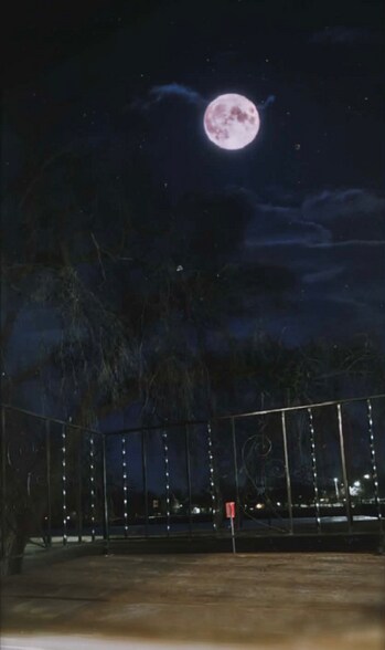 Building Photo - 911 W River Blvd