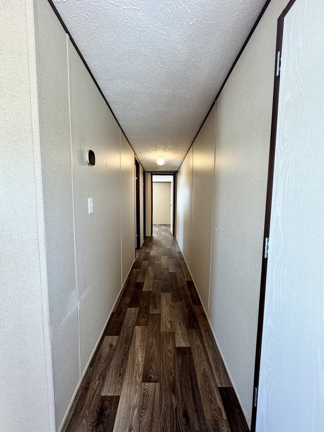 Building Photo - 100 Blissful Ct