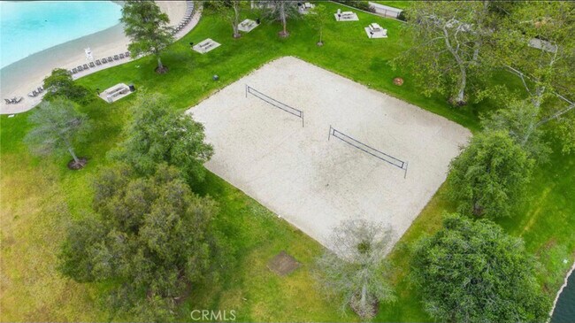 volleyball court - 44 Dianthus