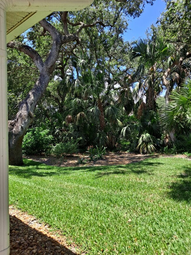 Building Photo - BEACHSIDE NSB FURNISHED RENTAL AVAILABLE M...
