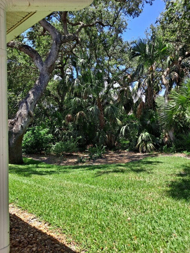 Building Photo - BEACHSIDE NSB FURNISHED RENTAL AVAILABLE MONTHLY!