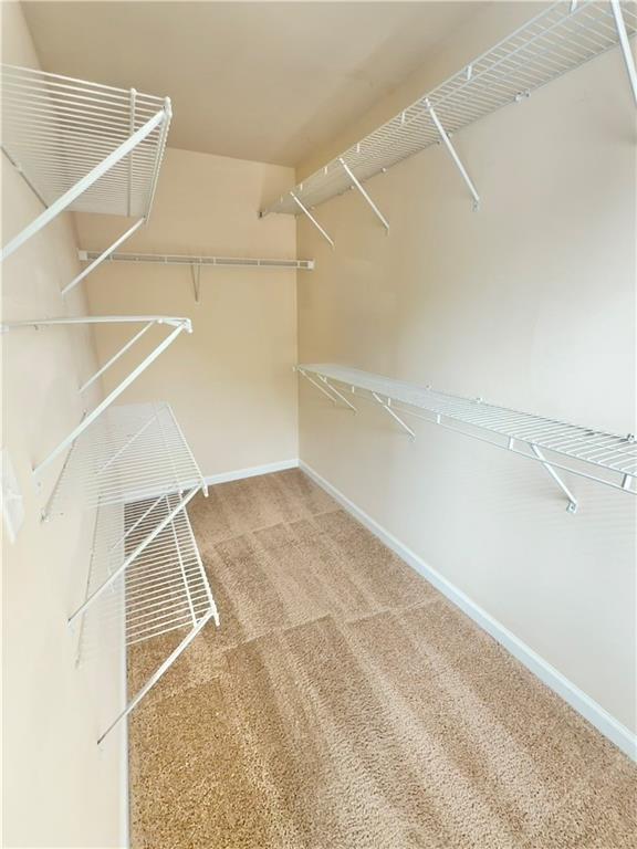 Building Photo - 4954 Rosalie Rd