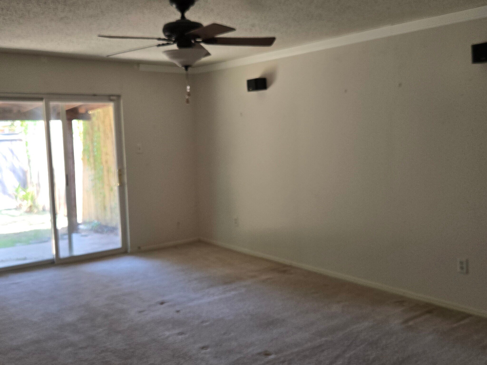 Building Photo - 2211 Placid Dr