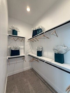 Building Photo - 7826 Starfish Arbor Dr