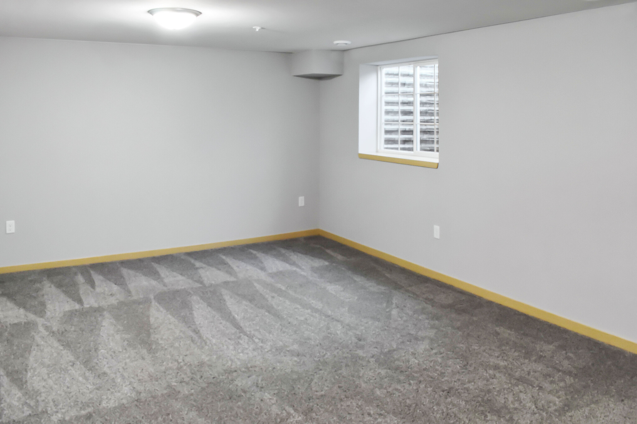 Building Photo - 6062 Driscoll Dr