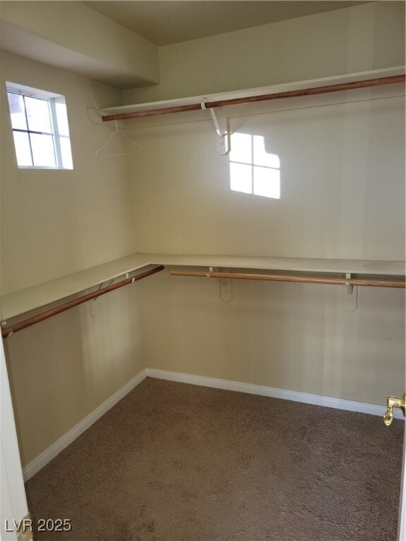 Building Photo - 9870 Santa Ponsa Ct