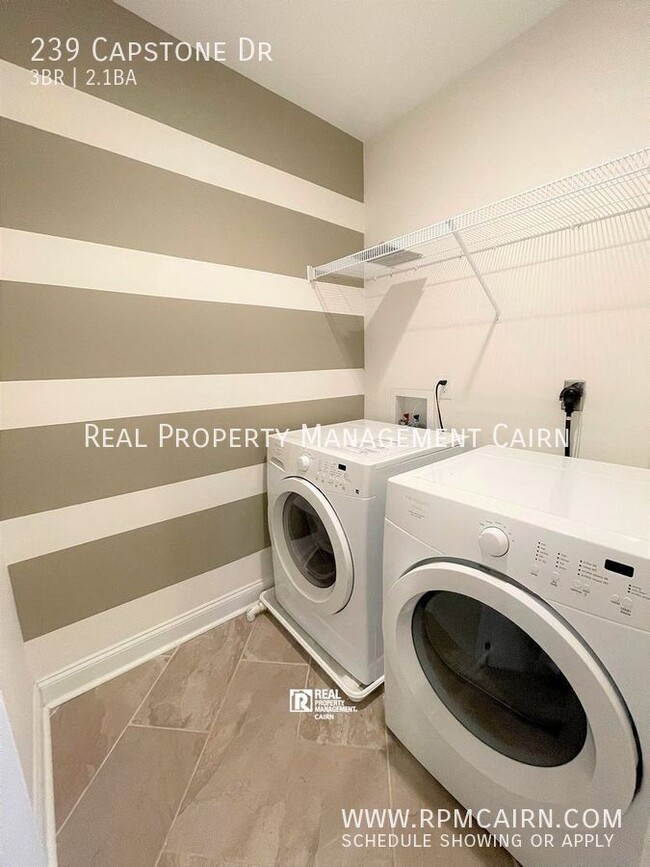 Building Photo - 239 Capstone Dr