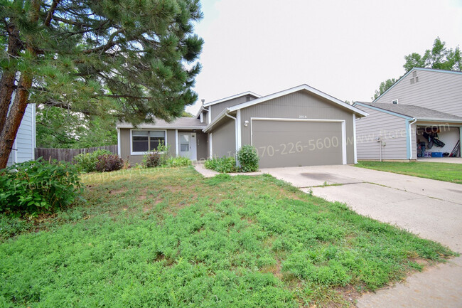 Primary Photo - Fantastic 4-Bedroom in Ft. Collins