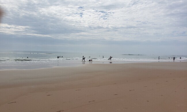 Building Photo - 486 Pinewood St