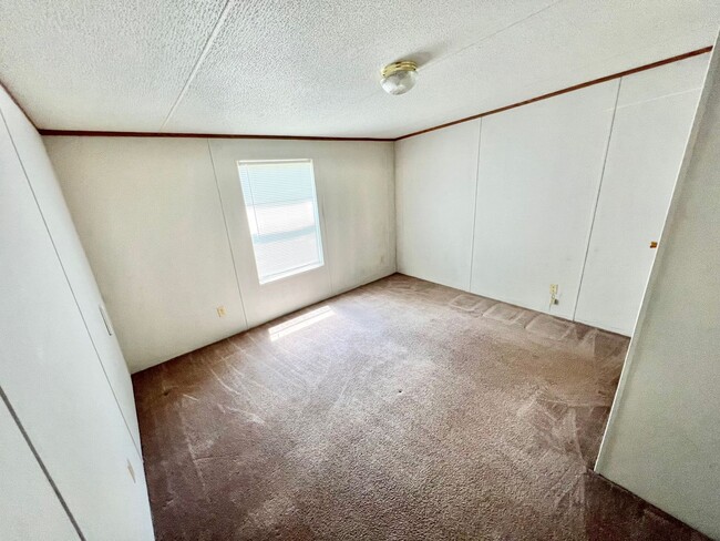 Building Photo - 152 Danibell Lane  - Acreage in Havana!