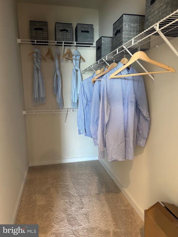 Building Photo - 265 Baker Dr