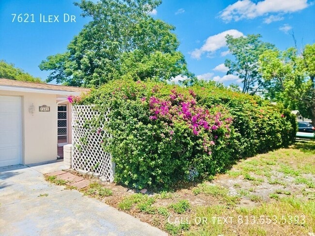 Building Photo - 7621 Ilex Dr