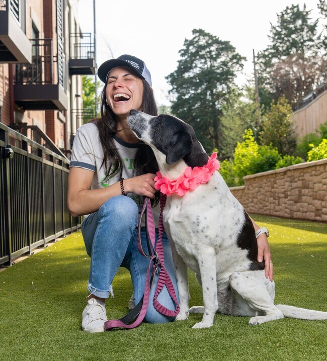 Building Photo - One Bedroom Rear Facing w Patio (1st Floor), Balcony 2 & 3