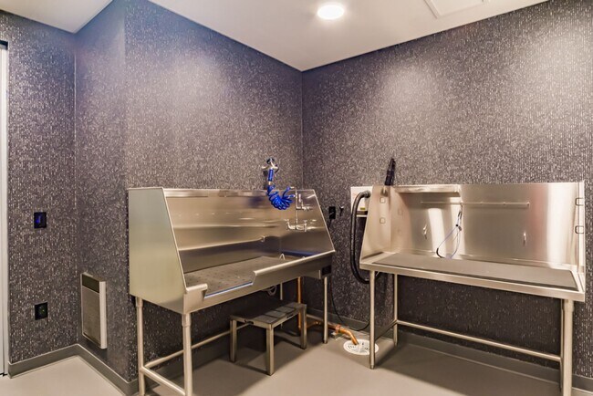 Building Photo - 2bd/1ba Seattle Condo