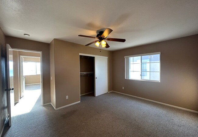 Building Photo - Gorgeous Oceanside Home