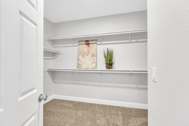Building Photo - Gorgeous East Elk Grove Home