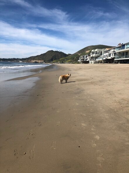 beach view - 25410 Malibu Rd