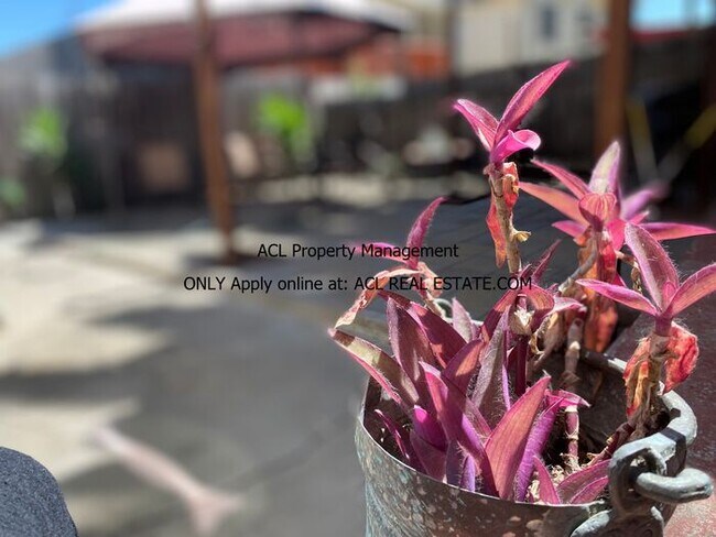 Building Photo - Nicely Located, Pet Friendly, Lake Merritt...