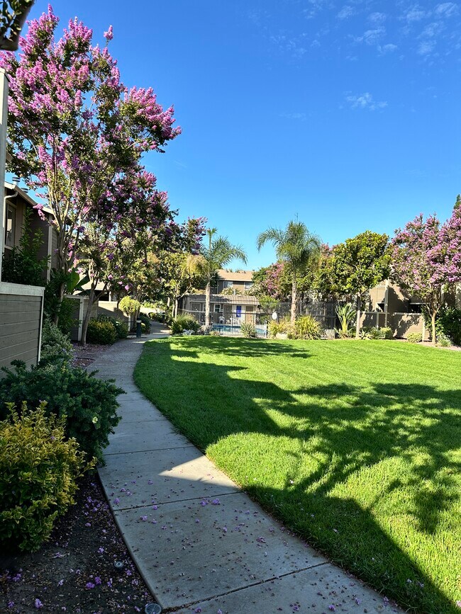 Building Photo - 2664 Senter Rd