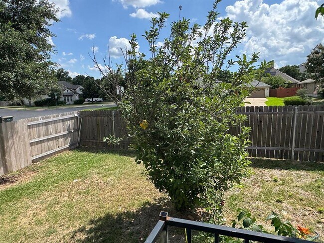 Building Photo - 4200 Adagio Pl