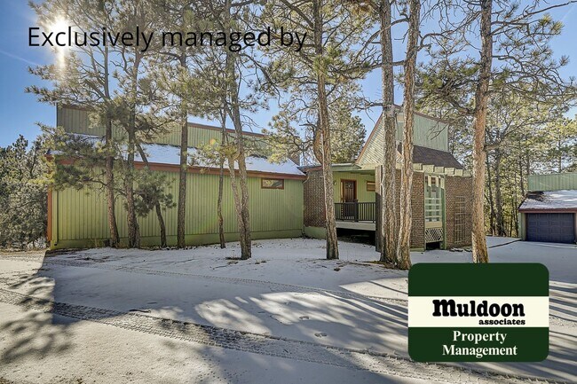 Building Photo - Coming soon, Stunning Black Forest Home!