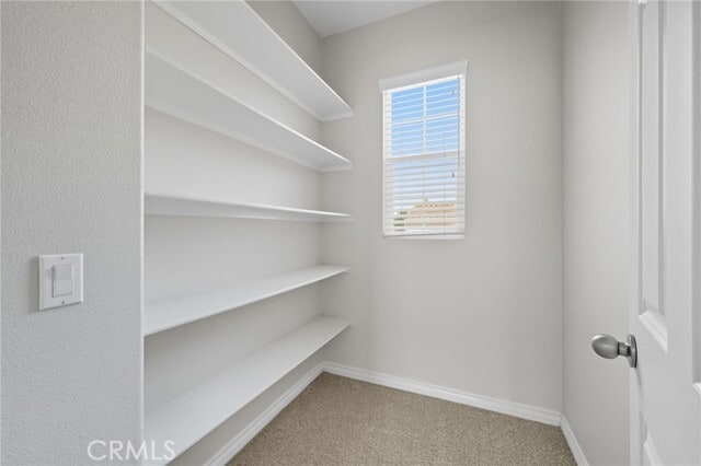 Building Photo - 2965 Breezy Meadow Cir