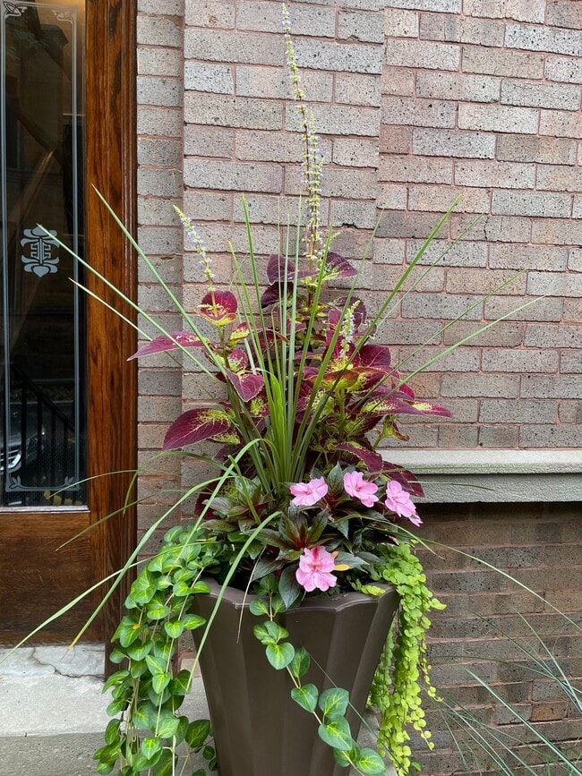 Building Photo - 735 W California Ter