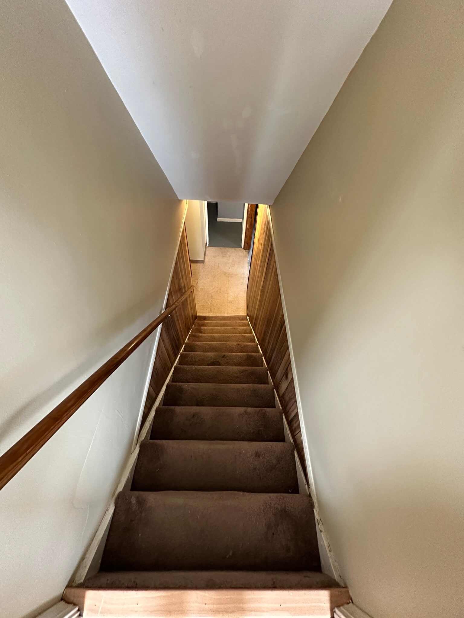 Basement steps - 1257 Hammel St