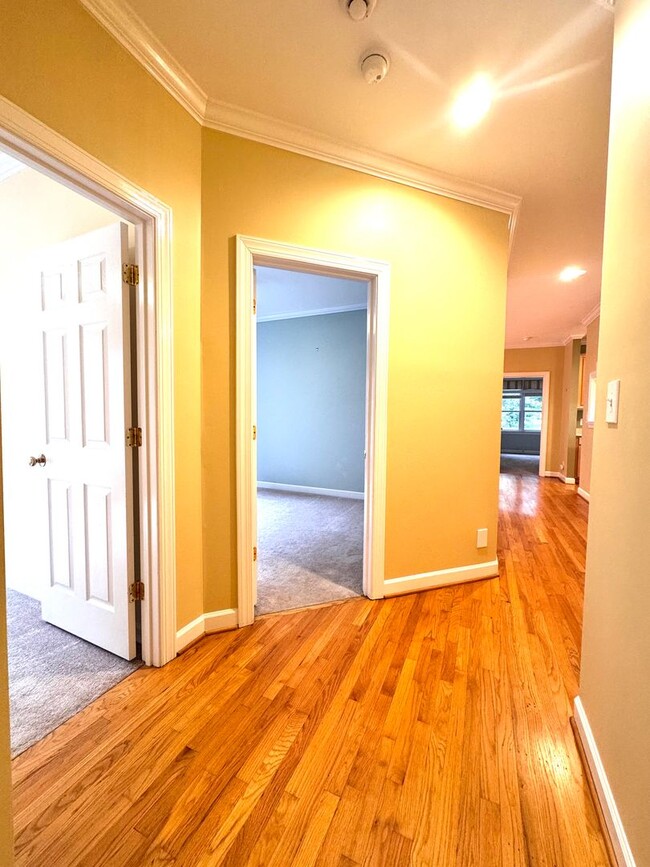 Building Photo - Gorgeous One Level Home in Chapel Hill