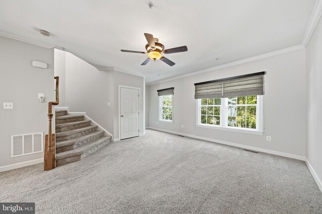 Building Photo - 8921 Amelung St