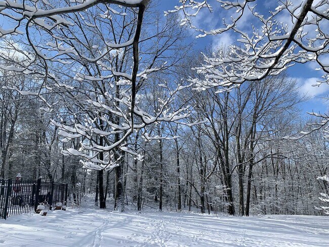 Building Photo - 74 Hilltop Rd