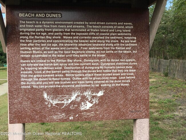 Building Photo - 237 Seabreeze Ave