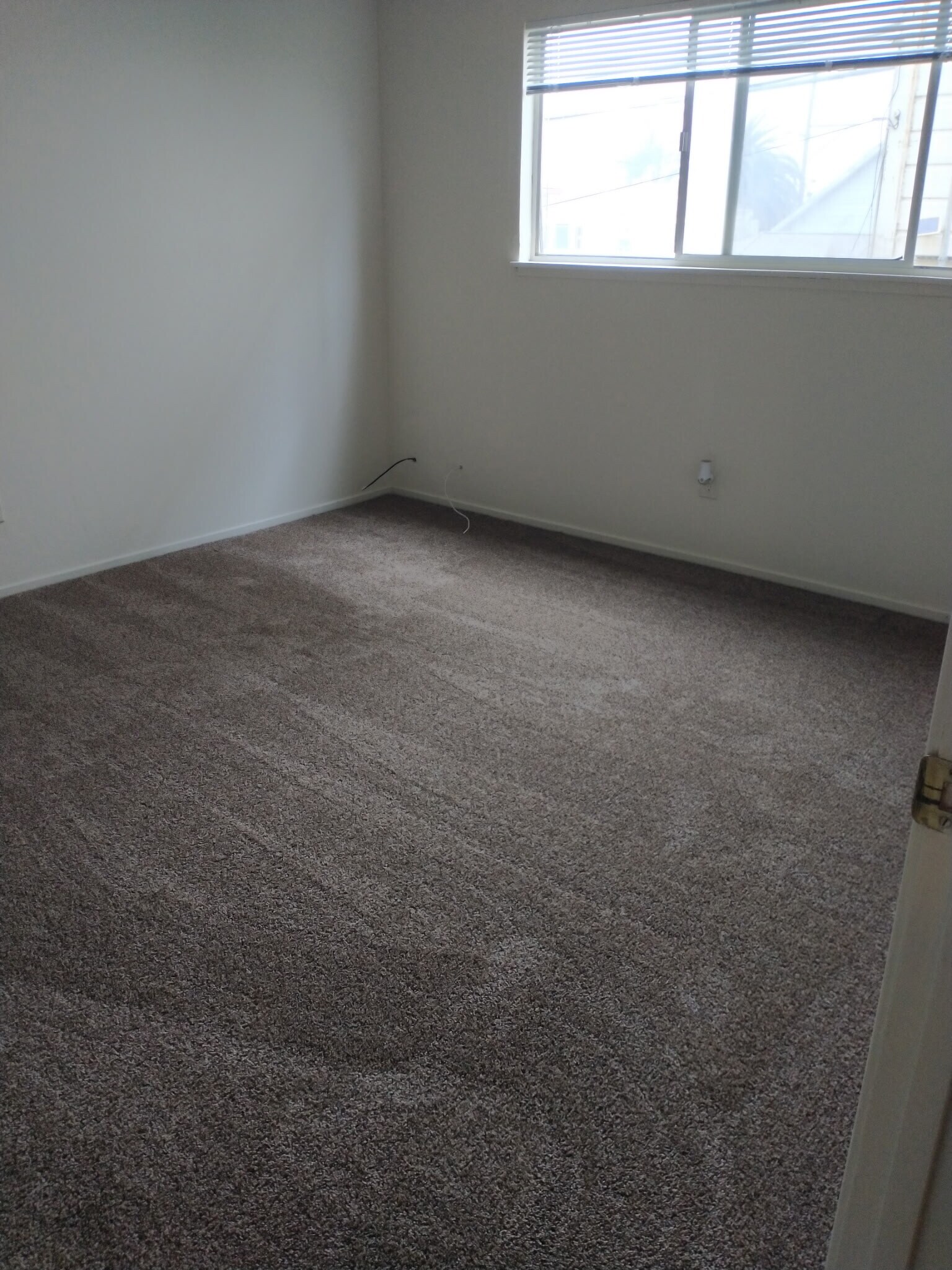 Building Photo - 734 Ohio St