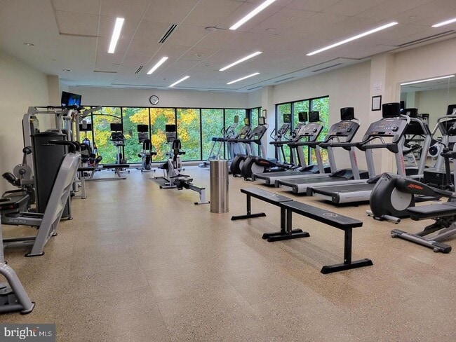 Building Photo - 5903 Mt Eagle Dr