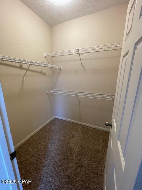 Building Photo - 805 Baldwin Rowe Cir